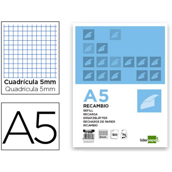 Recambio Liderpapel A5 120 Hojas 75G/M2 Cuadro 5Mm Sin Margen 6 Taladros Bandas De 5 Colores