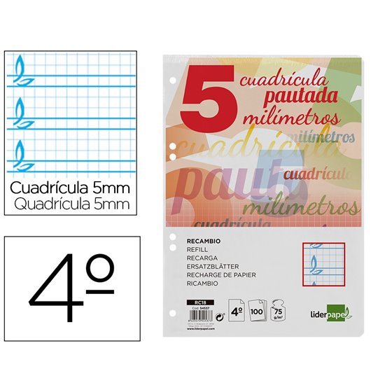 Recambio Liderpapel Cuarto Pautaguia 100 Hojas 75 G Cuadriculado Pautado 5 Mm Con Margen 6 Taladros