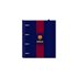 Carpeblock 4 Anillas 35 mm. Con Recambio F.C.Barcelona 1ª Equip. 25/26 27 x 32 x 3,5 cm.