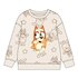 Sudadera Cotton Brushed Bluey Cerdá 3 Años-6 Años: 4,4,3,1
