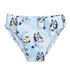 Slip Baño Bluey Cerdá 2 Años-6 Años: 2,3,3,3,1