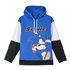 Sudadera Con Capucha Cotton Brushed Sonic Cerdá 5 Años-12 Años: 2,3,3,2,2