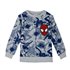 Sudadera Cotton Brushed Spiderman Cerdá 3 Años-7 Años: 2,3,3,3,1