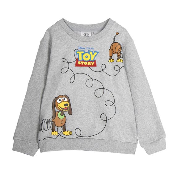 Sudadera Cotton Brushed Toy Story Cerdá 3 Años-7 Años: 2,3,3,3,1