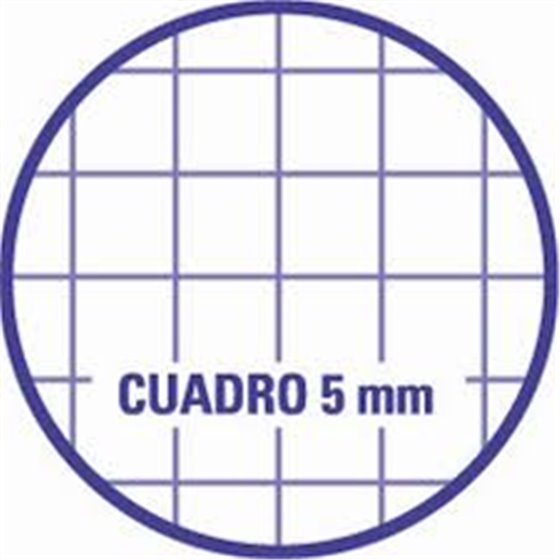 Recambio FIRMÓ A4 100 Hojas 100 g. 4T Modelo Cuadros 5 mm.