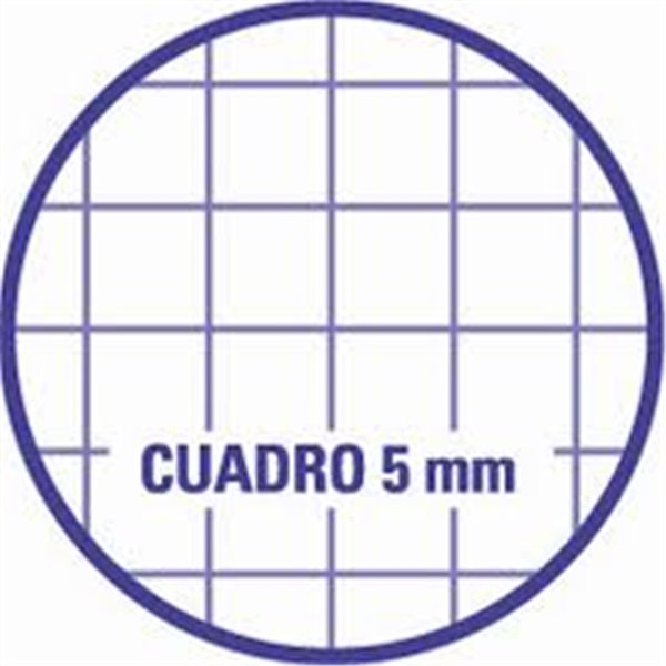 Recambio FIRMÓ A4 100 Hojas 100 g. 4T Modelo Cuadros 5 mm.