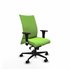 Albacete confidente XL sincro bali pistacho brazos 1D cromados base nailon ruedas 65 mm nailon