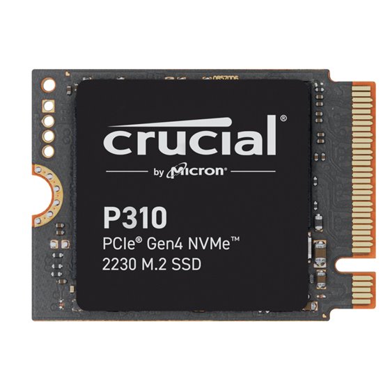 P310 2TB PCIe Gen4 NVMe 2230 M.2 SSD