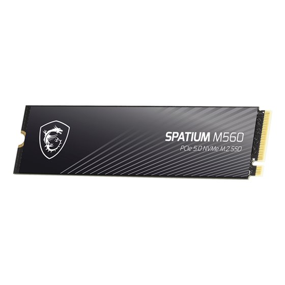 Spatium M560 PCIE 5.0 NVME M.2 2 TB PCI Express 5.0 3D NAND