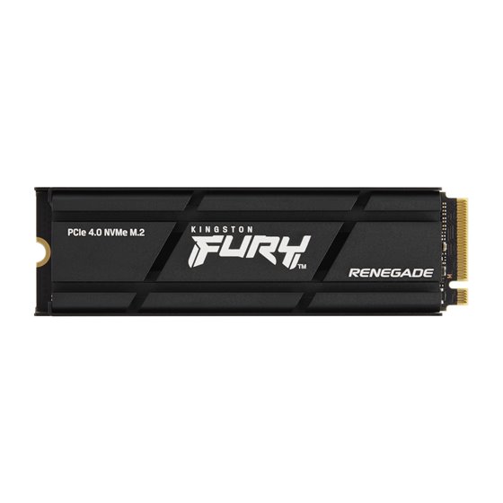 1000G RENEGADE PCIe 4.0 NVMe SSD W/ Difusor térmico