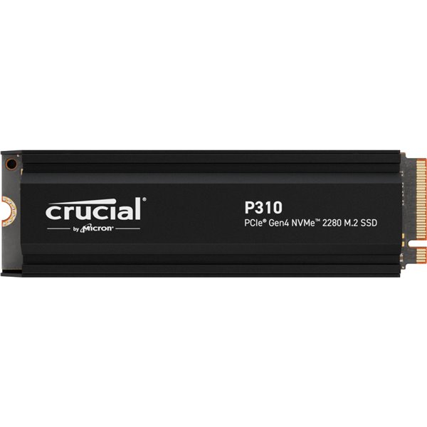 P310 1 TB M.2 PCI Express 4.0 NVMe