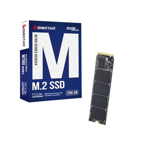 M760 256 GB M.2 PCI Express 4.0 NVMe