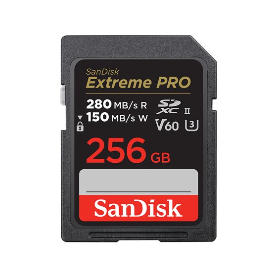 SDSDXEP-256G-GN4IN memoria flash 256 GB SDXC UHS-II Clase 10