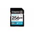Canvas Go! Plus 256GB SDXC Canvas Go Plus Gen4 200MB/s C10 UHS-I U3 V30