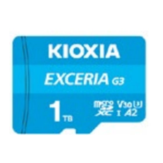 EXCERIA G3 1 TB MicroSDXC UHS-I Clase 10