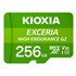 Exceria 256 GB MicroSD UHS-I Clase 10