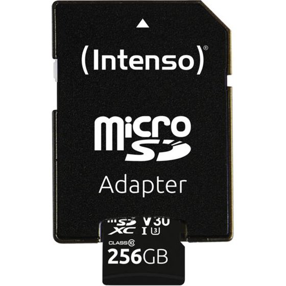3433492 memoria flash 256 GB MicroSDXC UHS-I Clase 10