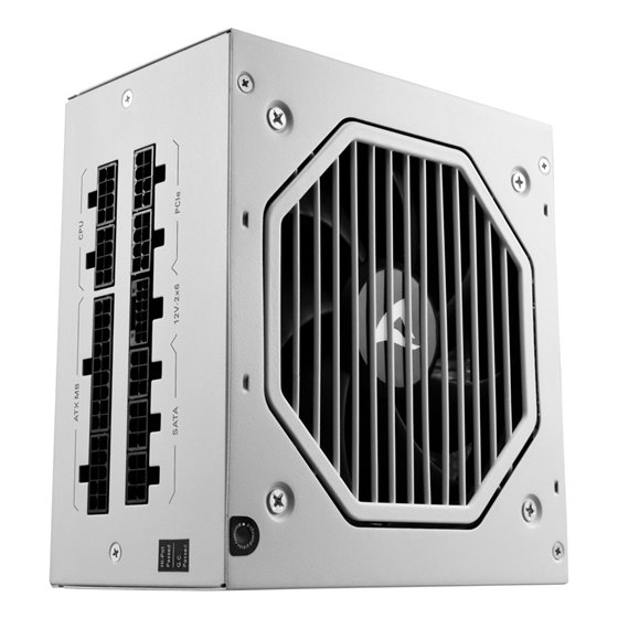 Rebel P20 unidad de fuente de alimentación 1000 W 24-pin ATX ATX Blanco