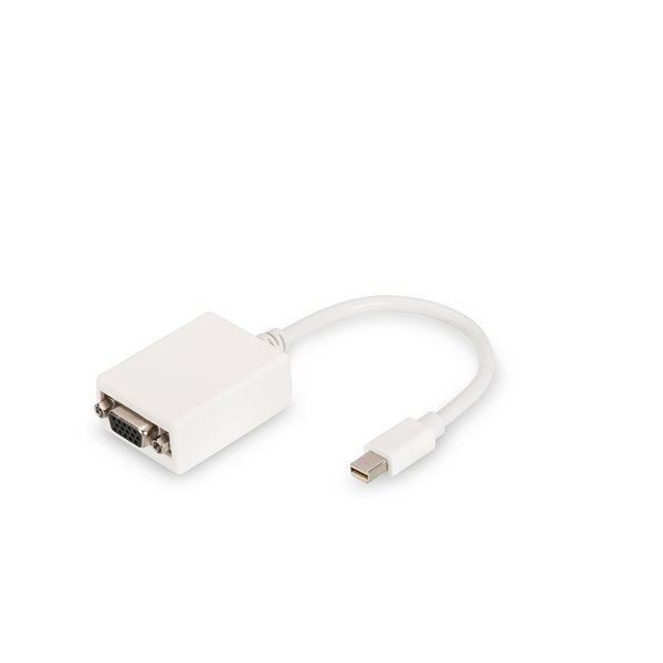 Cable adaptador DisplayPort