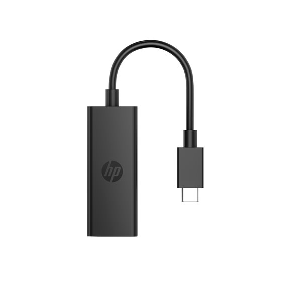 Adaptador de USB-C a DisplayPort G2
