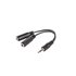 AD-0024-BK cable de audio 0,1 m 3,5mm 2 x 3,5mm Negro