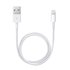 Lightning / USB 0,5 m Blanco