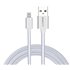 ECI-2S cable de conector Lightning 1 m Plata