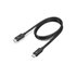 4X91K16968 cable Thunderbolt 0,7 m 40 Gbit/s Negro