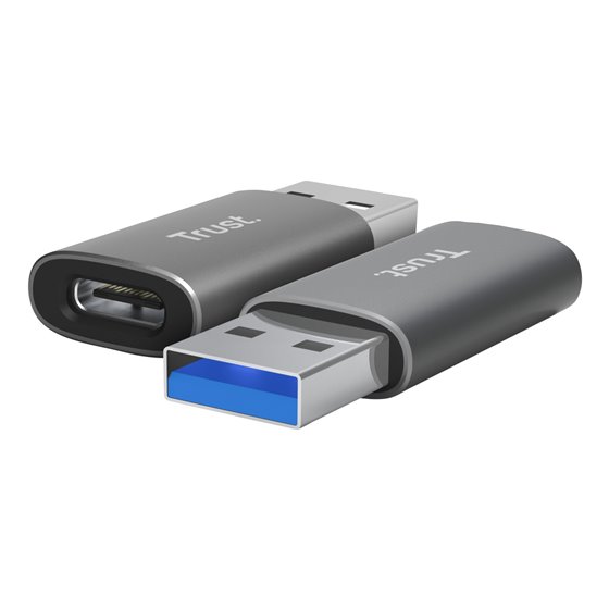 Calyx USB Type-C USB Type-A Gris