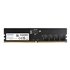Premier módulo de memoria 16 GB 1 x 16 GB DDR5 288-pin DIMM ECC