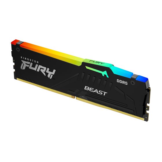 FURY Beast 32 GB 5600 MT/s DDR5 CL40 DIMM RGB