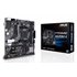 PRIME A520M-K AMD A520 Zócalo AM4 micro ATX
