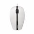GENTIX ratón Ambidextro USB tipo A Óptico 1000 DPI