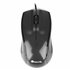 Black Mist ratón Oficina mano derecha USB tipo A Óptico 800 DPI