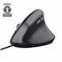 Bayo II ratón mano derecha USB tipo A 2400 DPI