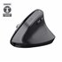 Bayo+ ratón Oficina mano derecha RF Wireless + Bluetooth Óptico 2400 DPI
