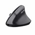 TM-270 ratón Oficina mano derecha RF inalámbrico Óptico 2400 DPI