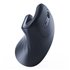 MUSW-ERGO-03 ratón Hogar mano derecha RF inalámbrico Óptico 1600 DPI