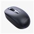 APPXM200 ratón Hogar RF inalámbrico Óptico 1600 DPI