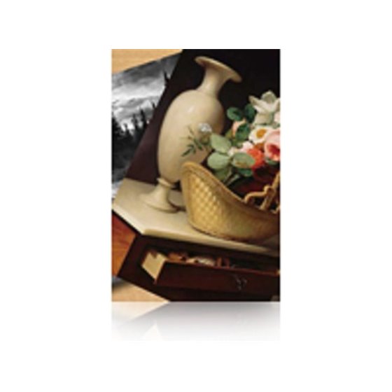Premium Luster Photo Paper, 60" x 30,5 m, 260 g/m²