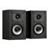 XT15 De 2 vías Negro Alámbrico 150 W