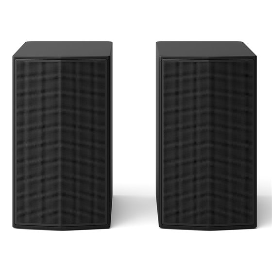 SPT8-S De 1 vía Negro Inalámbrico 100 W