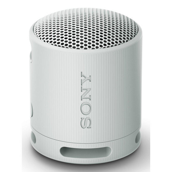 SRS-XB100 Altavoz monofónico portátil Gris
