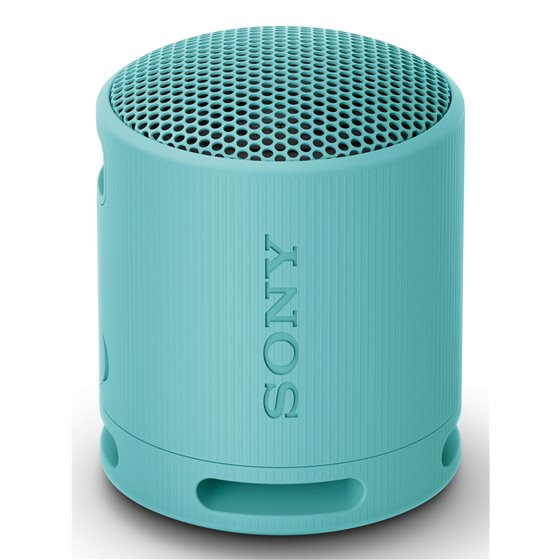 SRS-XB100 Altavoz monofónico portátil Azul