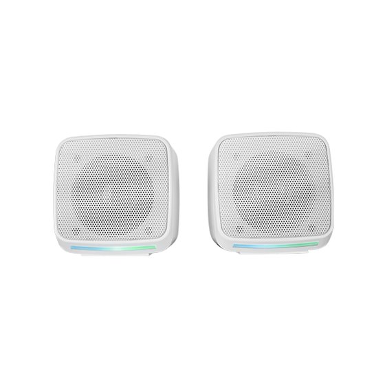 MS-PRO, Altavoces Compactos 10W, Iluminación RGB Flow Dinámica, Altavoz PC con Caja de Control y Entrada Jack 3.5mm, Altavoces G