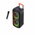 PARTYSPEAKERWLM altavoz portátil o de fiesta Altavoz para fiestas Negro 40 W