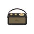 RA-101 Portátil Analógica Negro, Oro