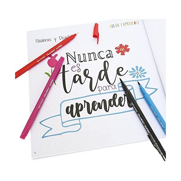 Set Lettering ALPINO Color Experience 12 Rotuladores + Libro