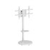 EW1550 soporte para TV 2,18 m (86") Blanco