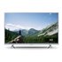 TX-24MSW504 Televisor 61 cm (24") HD Smart TV Wifi Negro